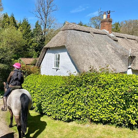 Pardlestone Farm B&B Kilve Exterior foto