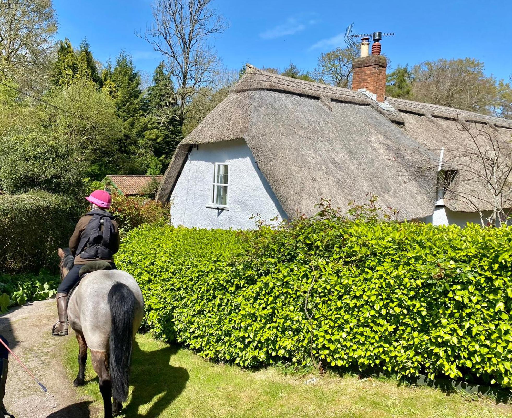 Pardlestone Farm B&B Kilve Exterior foto