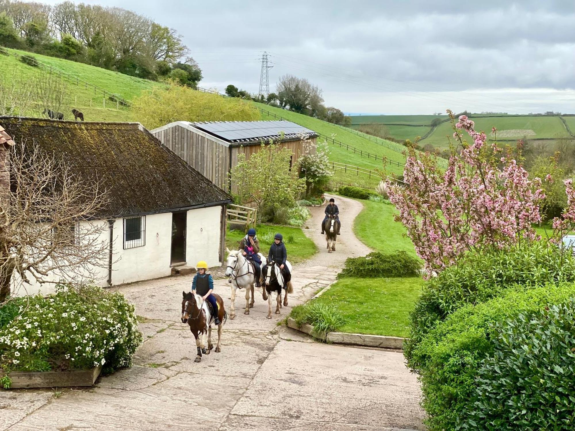 Pardlestone Farm B&B Kilve Exterior foto