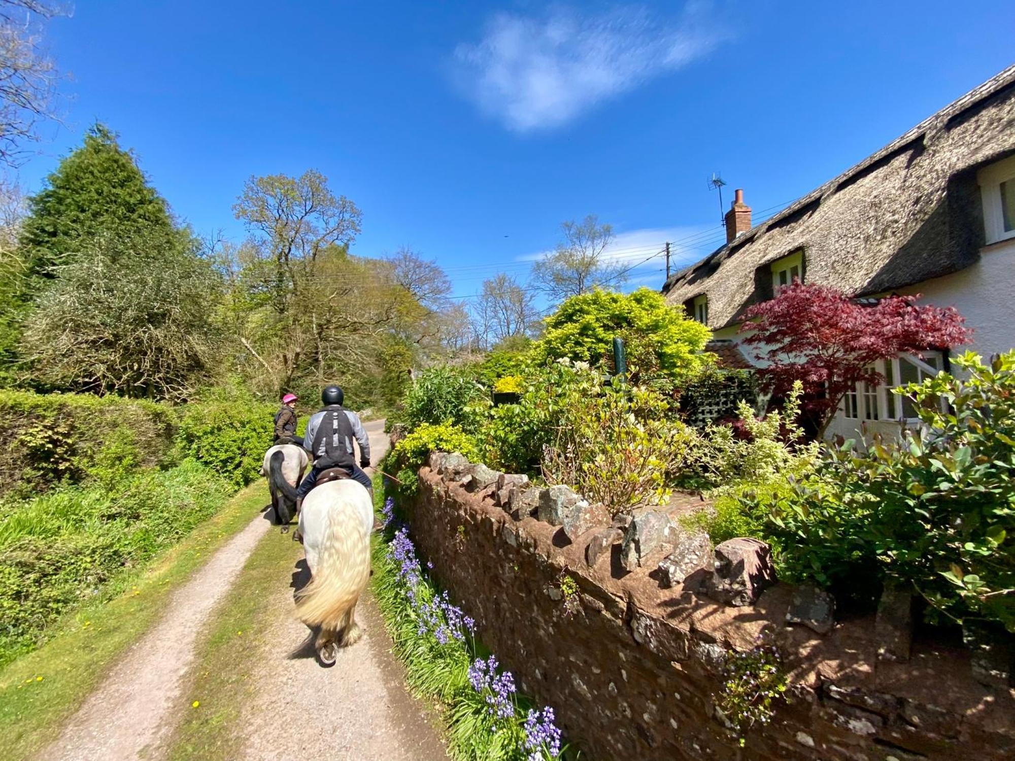 Pardlestone Farm B&B Kilve Exterior foto