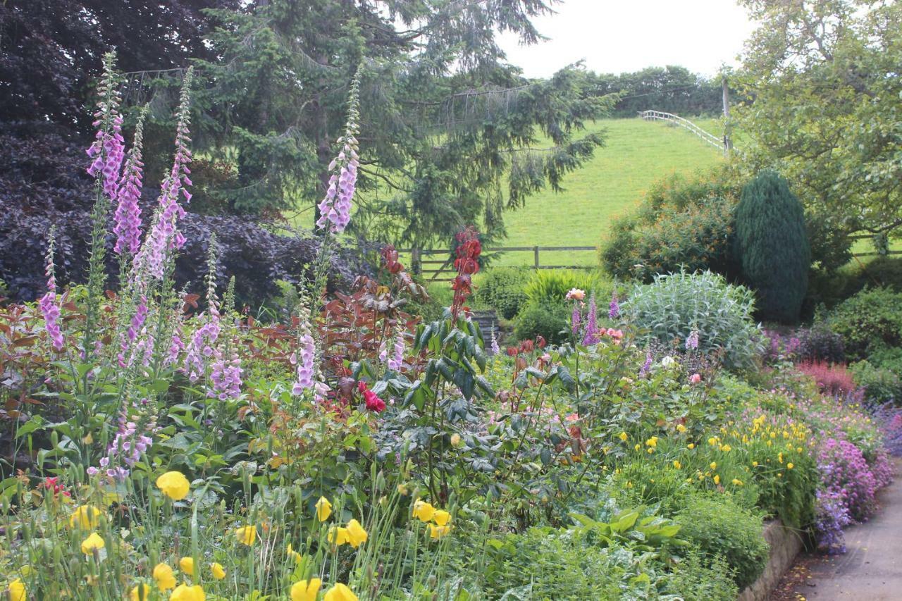 Pardlestone Farm B&B Kilve Exterior foto